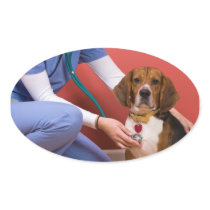 Cute Beagle Dog Getting a Veterinary Checkup Sticker