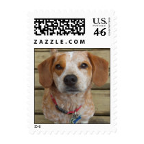 Cute Beagle Mix Postage Stamps