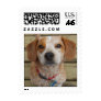 Cute Beagle Mix Postage Stamps