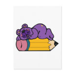 cute bear sleeping on pencil post card