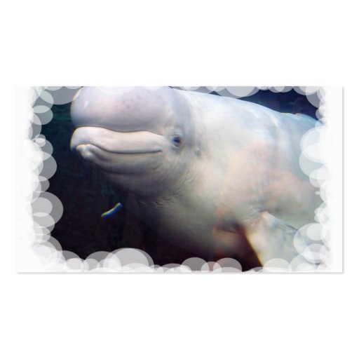 Cute Beluga Whale Business Card (back side)