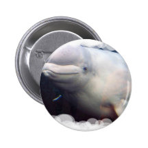 Cute Beluga Whale Button