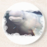 Cute Beluga Whale Coaster
