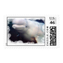 Cute Beluga Whale Postage Stamp