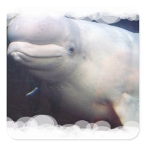 Cute Beluga Whale Sticker