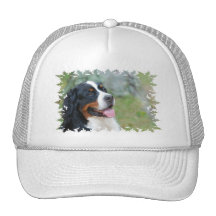 Cute Bernese Baseball Hat