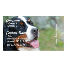 Cute Bernese Business Cards