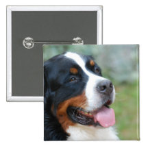 Cute Bernese Button