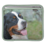 Cute Bernese iPad Sleeve