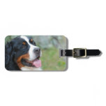 Cute Bernese Luggage Tag luggage tags