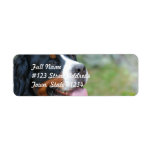 Cute Bernese  Mailing Labels