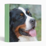 Cute Bernese Mountain Dog Binder