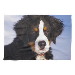 Cute Bernese Mountain Dog Puppy Picture Hand Towel
