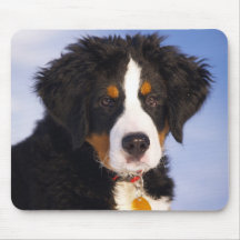 Cute Bernese Mountain Dog Puppy Picture Mouse Pad