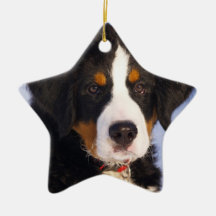 Cute Bernese Mountain Dog Puppy Picture Christmas Ornaments