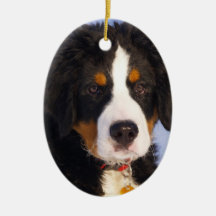 Cute Bernese Mountain Dog Puppy Picture Christmas Ornaments