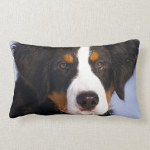 Cute Bernese Mountain Dog Puppy Picture Pillows