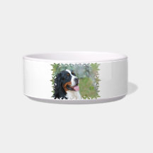 Cute Bernese Pet Bowl