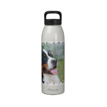 Cute Bernese Water Bottle