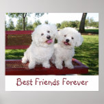Cute Best Friends Forever Poster Print