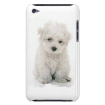 Cute Bichon Frise iTouch Case Ipod Touch Cases