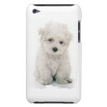 Cute Bichon Frise iTouch Case iPod Touch Cases