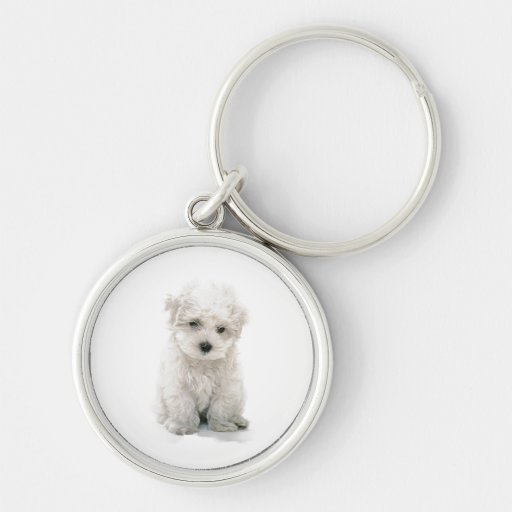 Cute Bichon Frise Keychain