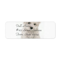 Cute Bichon Frise Mailing Label