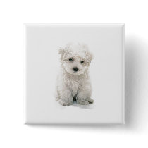 Cute Bichon Frise Square Pin