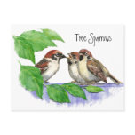 Cute Bird, Sparrow Family Postcards