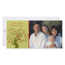 Cute Bird Swirl Tree Gifts and Invitations photo cards