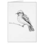 Cute Bird that catches everyone's attention. Card