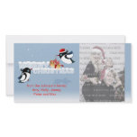 Cute Birds Christmas Gift Photo Cards