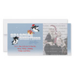 Cute Birds Christmas Gift Season's Greetings Picture Card