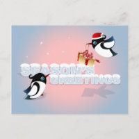 Cute Birds With Christmas Present postcard