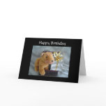 Cute  Birthday Card