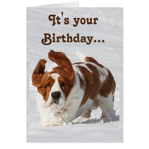 Cute Birthday Card W Basset Hound & Champagne 