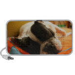 Cute Black And White Lazy Dog speakers