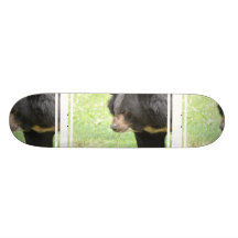 Cute Black Bear Skate Deck