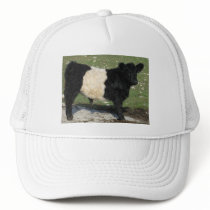Cute Black Belted Galloway Calf Trucker Hat