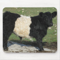 Cute Black Belted Galloway Calf Mousepad