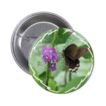 Cute Black Butterfly Button