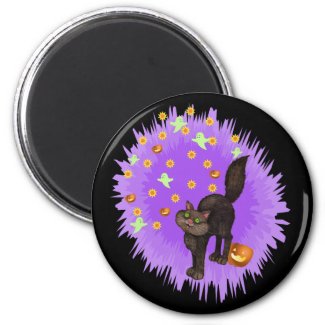 Cute Black Cat Halloween Fireworks Magnet magnet