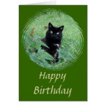 Cute Black Cat looking curious Birthday Card