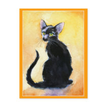 Cute black cat or kitten postcard