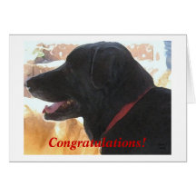 Cute Black Lab Dog Congratulations DVM Graduation Greeting Cards