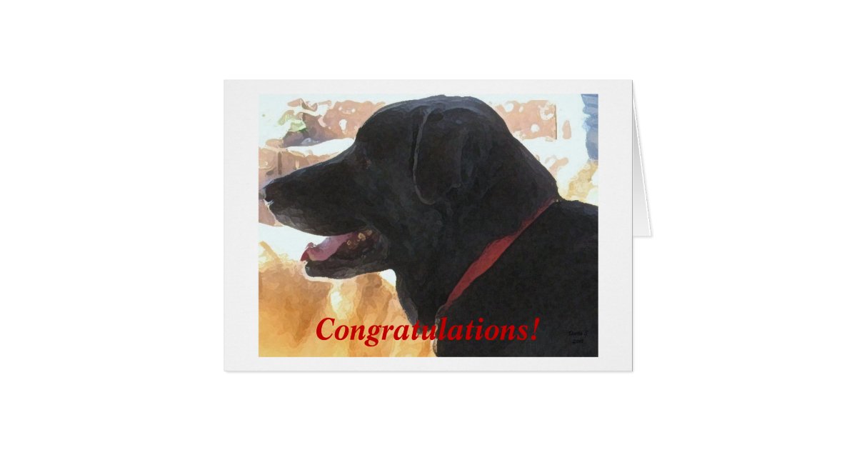 cute black lab dog congratulations dvm graduation card games for office party