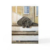 Cute Black Lab Greeting Card by paintingcoyote36 Cute Black Lab Greeting Card