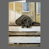 Cute Black Lab Greeting Card cards