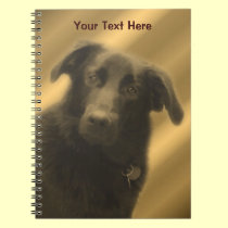 Cute Black Lab Mix Dog Notebook notebooks